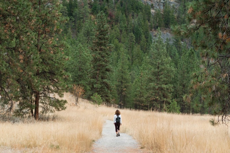 Walking in nature